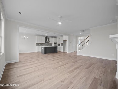 36-web-or-mls-PB219332