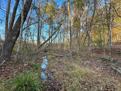 0 Big Rock Rd, Jacksons Gap, AL 36861 - photo 5