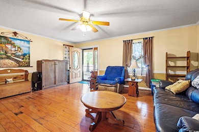 Living room with ceiling fan, a textured ceiling, light wood-style flooring, crown molding, and baseboards