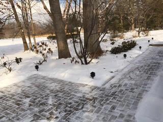 Slate Run Front walk into Cenname