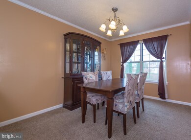 1036 Franklin Ave, Croydon, PA 19021 - photo 6