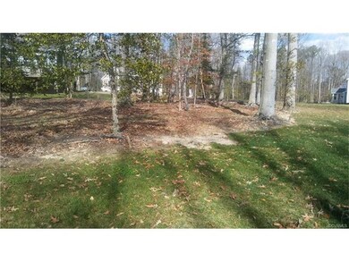 View of backyard