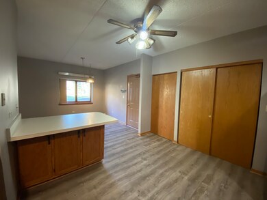 1105 E Division St unit 1B, Lockport, IL 60441 - photo 7