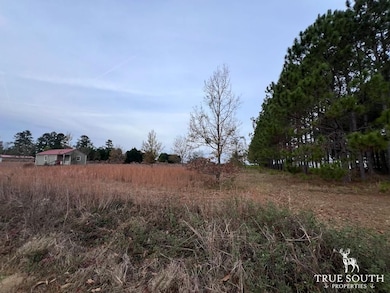 0 Hunters Rd unit 25764201, Sylvania, GA 30467 - photo 3