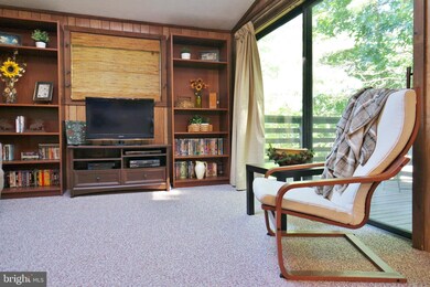 233 Brawley Ln, Basye, VA 22810 - photo 6