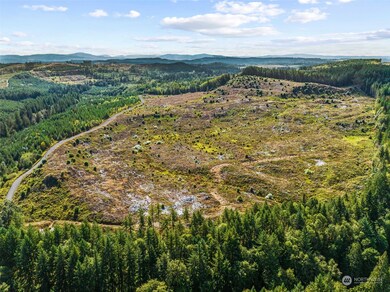 0 Salmon Creek Rd unit NWM2156058, Toledo, WA 98591 - photo 7