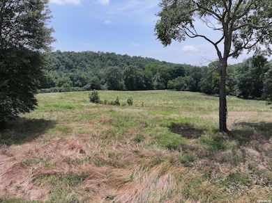 Lots 3 & 4 River View Dr, Glenwood, AR 71943 - photo 2