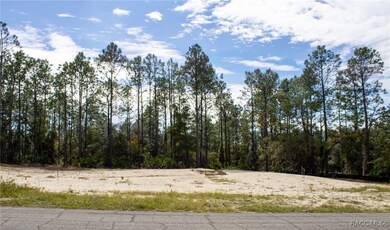 View from front of lot Nov. 2025