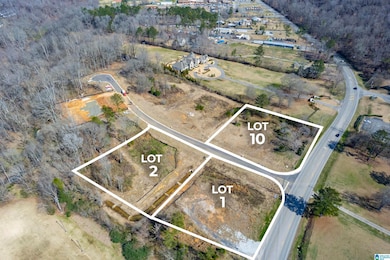 131 Bishop Creek Ln, Birmingham, AL 35242 - photo 3