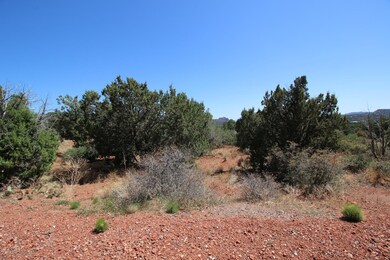 IMG_1759