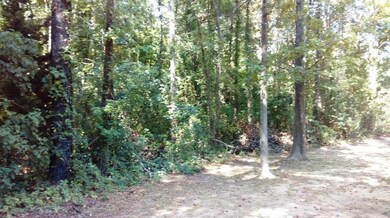 0 Farm To Market 2148, Texarkana, TX 75501 - photo 4