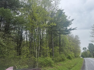 0 Kilkenny Rd, Unadilla, NY 13849 - photo 7