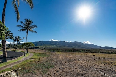 364 Anapuni Loop unit Lanikeha Lot 41 Ph 2, Lahaina, HI 96761 - photo 6