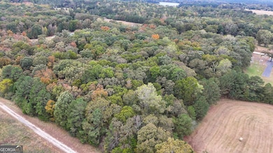 12895 Highway 36, Covington, GA 30014 - photo 3