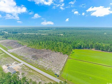 TBD W Highway 19 unit Lot 7A, Loris, SC 29569 - photo 2