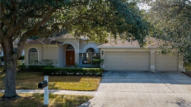 4858 Augusta Ave, Oldsmar, FL 34677 - photo 6