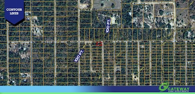 0 SE 130th Ct unit 25658262, Dunnellon, FL 34431 - photo 6