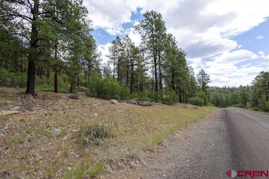 966 Starling Cir, Pagosa Springs, CO 81147 - photo 7