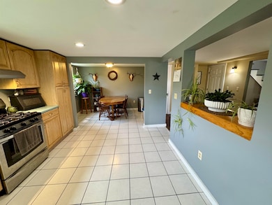 Open Kitchen and Dining