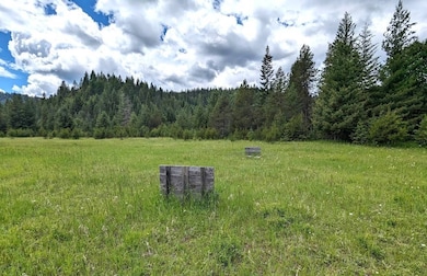 1791 Pup Paw Trail, Priest River, ID 83856 - photo 7