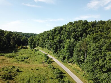 999 Buncomb Creek Rd, Tyner, KY 40486 - photo 5