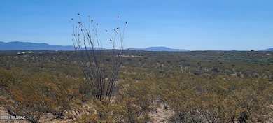 TBD West Rainbow Road