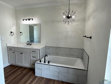 668 Elysian Fields Cutoff unit Lot 10 Elysian Field, Marshall, TX 75672 - photo 6