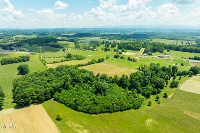 DJI_0769