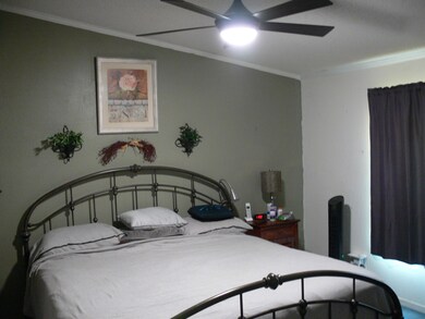 894 Dewitt Smith Rd, Pittsboro, NC 27312 - photo 5