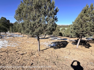 205 Timberline Place, Ruidoso, NM 88345 - photo 3