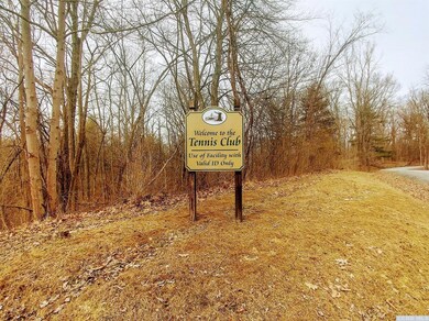 325 Sleepy Hollow Rd, Athens, NY 12015 - photo 4