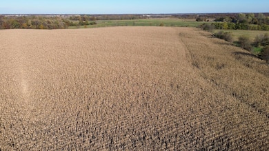 52 Scarlet Ave, Bloomfield, IA 52537 - photo 3