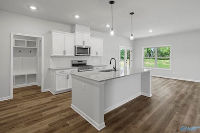 132 Striker Ln, Harvest, AL 35749 - photo 4