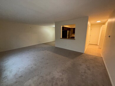 110 N Kenilworth Ave unit 1C, Oak Park, IL 60301 - photo 4