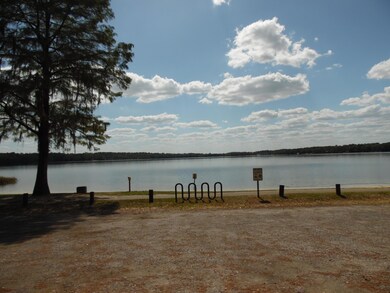 1017 3rd St, Florala, AL 36442 - photo 4