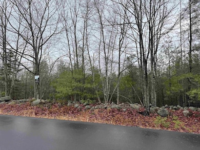 TBD Mason Rd, Milton, NH 03851 - photo 7