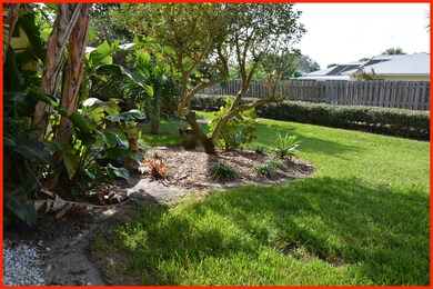 Backyard looking Southwest