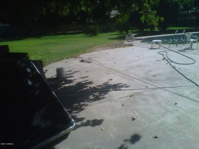 Huge Back yard with Citrus Trees