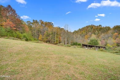 1251 Purchase Ridge Rd, Duffield, VA 24244 - photo 6