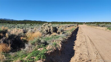 1691 Luke Rd, Fort Garland, CO 81133 - photo 7