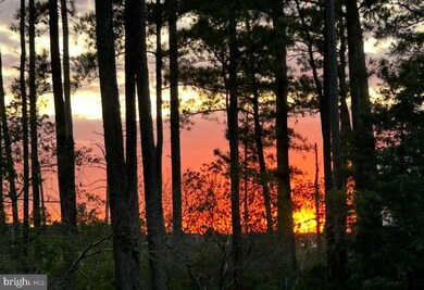 29244 Park View Dr, Dagsboro, DE 19939 - photo 5