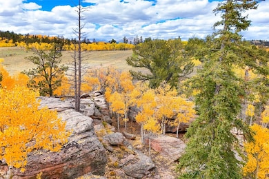 4019 Buffalo Ridge Rd, Como, CO 80456 - photo 2