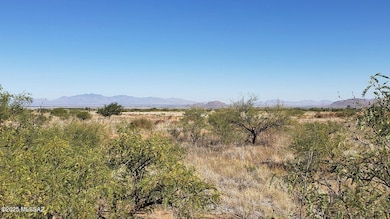View E. thru Mesquites