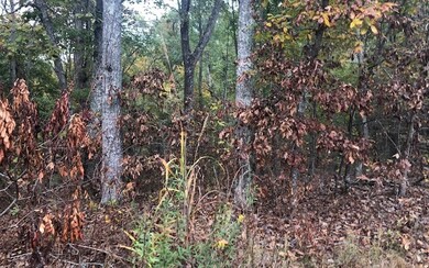 861 Trinton Dr, Ranger, GA 30734 - photo 4