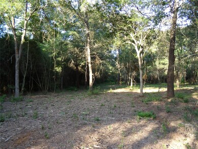 31032 Hegar Rd, Hockley, TX 77447 - photo 5