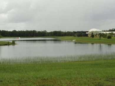 20601 Barefoot Ski Blvd, Estero, FL 33928 - photo 3