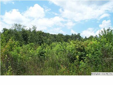 0 County Road 66 unit 2, Wedowee, AL 36278 - photo 7