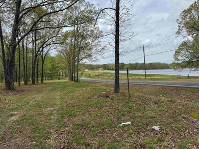 00 Hwy 321, Austin, AR 72007 - photo 5