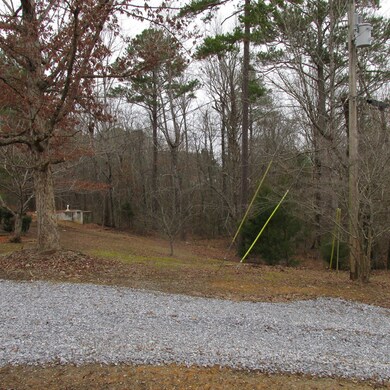 447 Mcentire Rd, Chatsworth, GA 30705 - photo 2