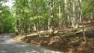 0 Tuscarora Trail unit 1000321760, Berkeley Springs, WV 25411 - photo 2